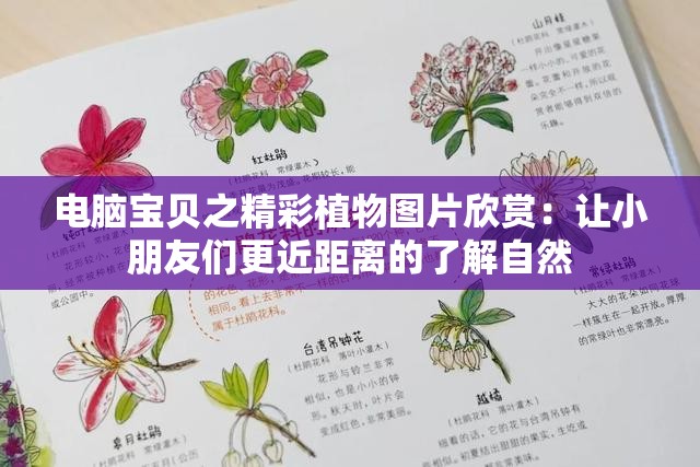 电脑宝贝之精彩植物图片欣赏：让小朋友们更近距离的了解自然