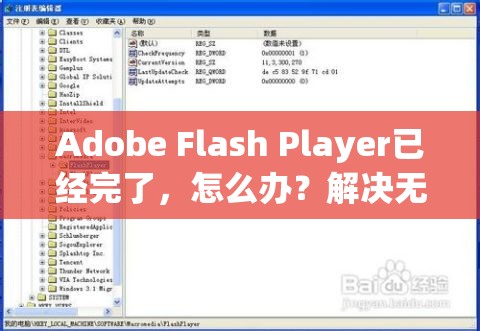 Adobe Flash Player已经完了，怎么办？解决无法使用的问题和替代方案