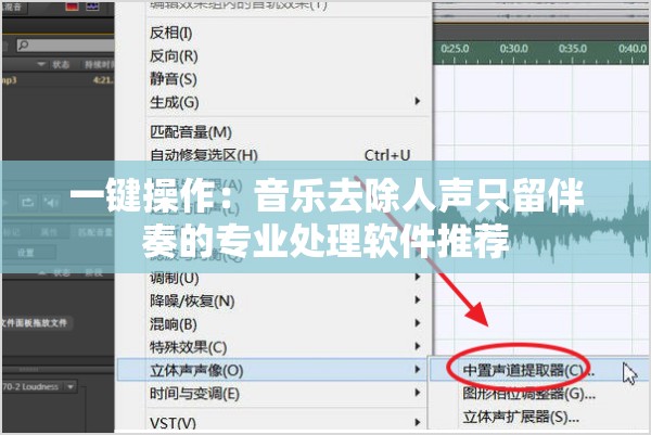 一键操作：音乐去除人声只留伴奏的专业处理软件推荐