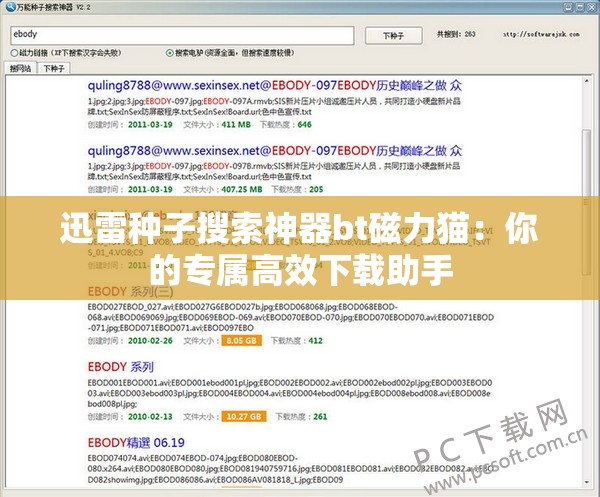 迅雷种子搜索神器bt磁力猫：你的专属高效下载助手