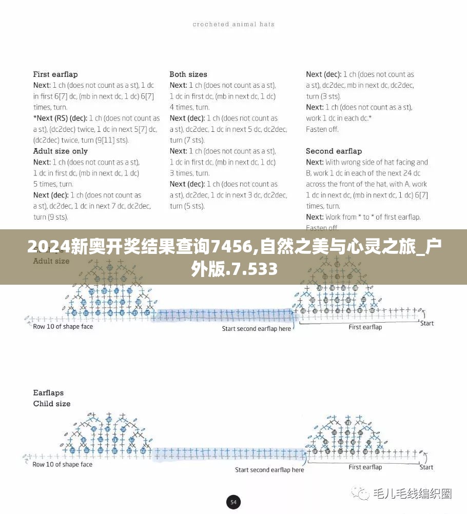 2024新奥开奖结果查询7456,自然之美与心灵之旅_户外版.7.533