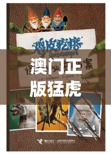 澳门正版猛虎报资料,探索澳门的秘密与美景_游戏版WSAP.8.966