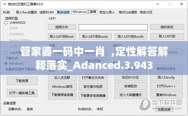 管家婆一码中一肖  ,定性解答解释落实_Adanced.3.943