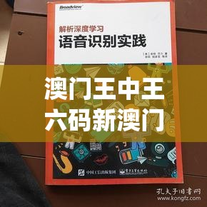 澳门王中王六码新澳门7456,深度解答解释落实_PS.1.426