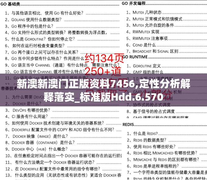 新澳新澳门正版资料7456,定性分析解释落实_标准版Hdd.6.570