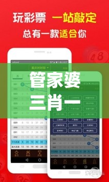 管家婆三肖一码一定中特,综合分析解释落实_The8.210