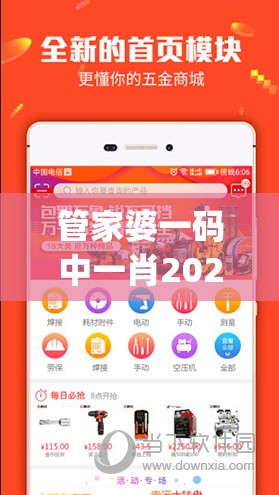 管家婆一码中一肖2024年198期,现象分析解释落实_对抗型.5.896