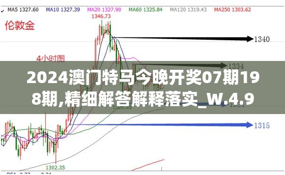 2024澳门特马今晚开奖07期198期,精细解答解释落实_W.4.993