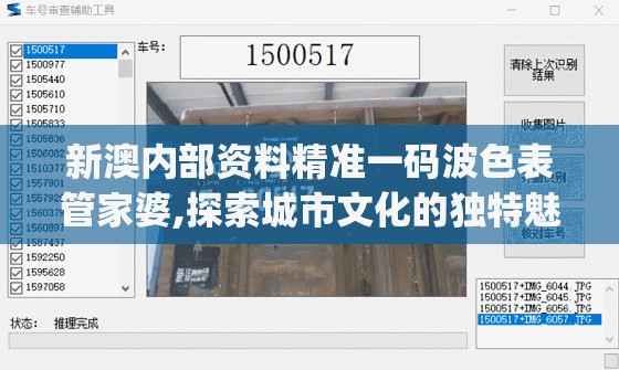 新澳内部资料精准一码波色表管家婆,探索城市文化的独特魅力_奢华集.7.743