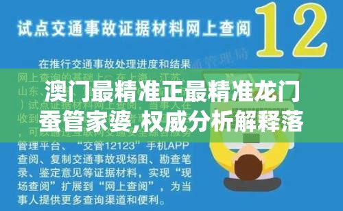 澳门最精准正最精准龙门蚕管家婆,权威分析解释落实_简易集.4.490