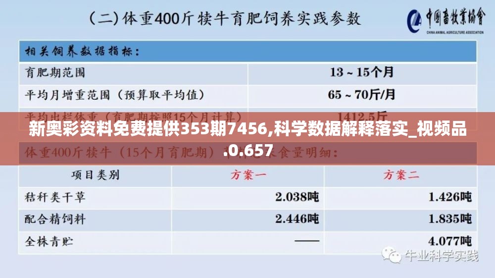 文明重启国际服，引领全球文化新风潮，践行文明交流与合作共赢。