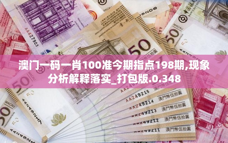 澳门一码一肖100准今期指点198期,现象分析解释落实_打包版.0.348