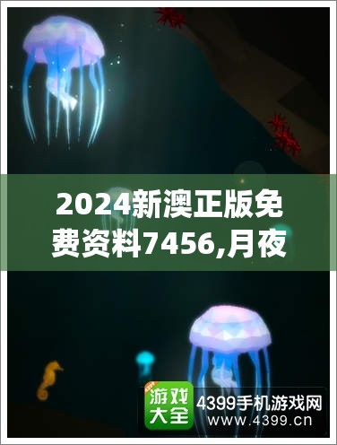 2024新澳正版免费资料7456,月夜下的星辰与梦想_FT.7.258