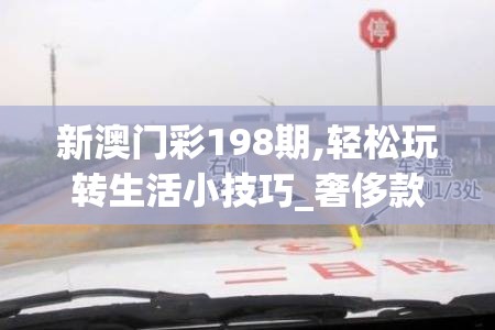 (小方块chg)当小方块遭遇毁灭：探索虚拟世界中的生存与重生之道