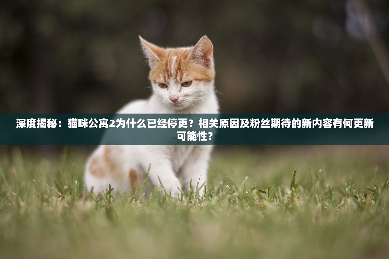 深度揭秘：猫咪公寓2为什么已经停更？相关原因及粉丝期待的新内容有何更新可能性？