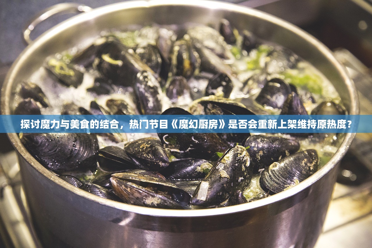 探讨魔力与美食的结合，热门节目《魔幻厨房》是否会重新上架维持原热度？