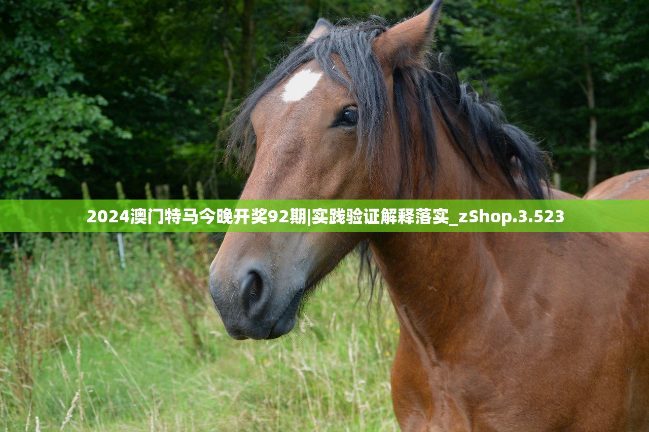 (ttf字体库)ttf字体包大全解析，从基础应用到个性化定制，解锁字体魅力新境界