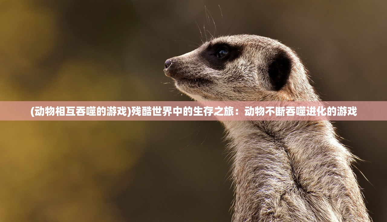 (打天下歌曲视频)打天下，一首激励人心的歌曲，探讨其背后的故事与影响
