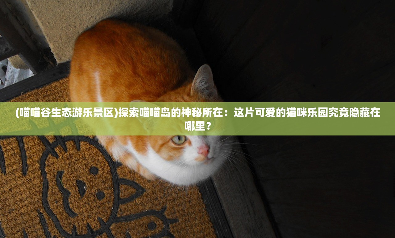 (喵喵谷生态游乐景区)探索喵喵岛的神秘所在：这片可爱的猫咪乐园究竟隐藏在哪里？