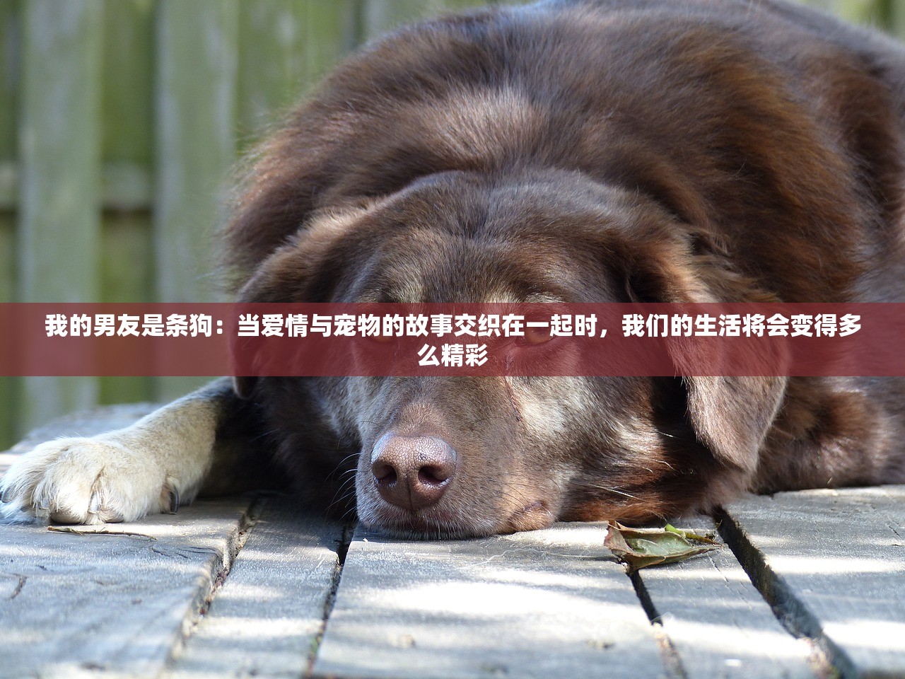 (大明侠客令还有什么名字可以用)大明侠客令，探寻其背后的多重身份与传奇故事