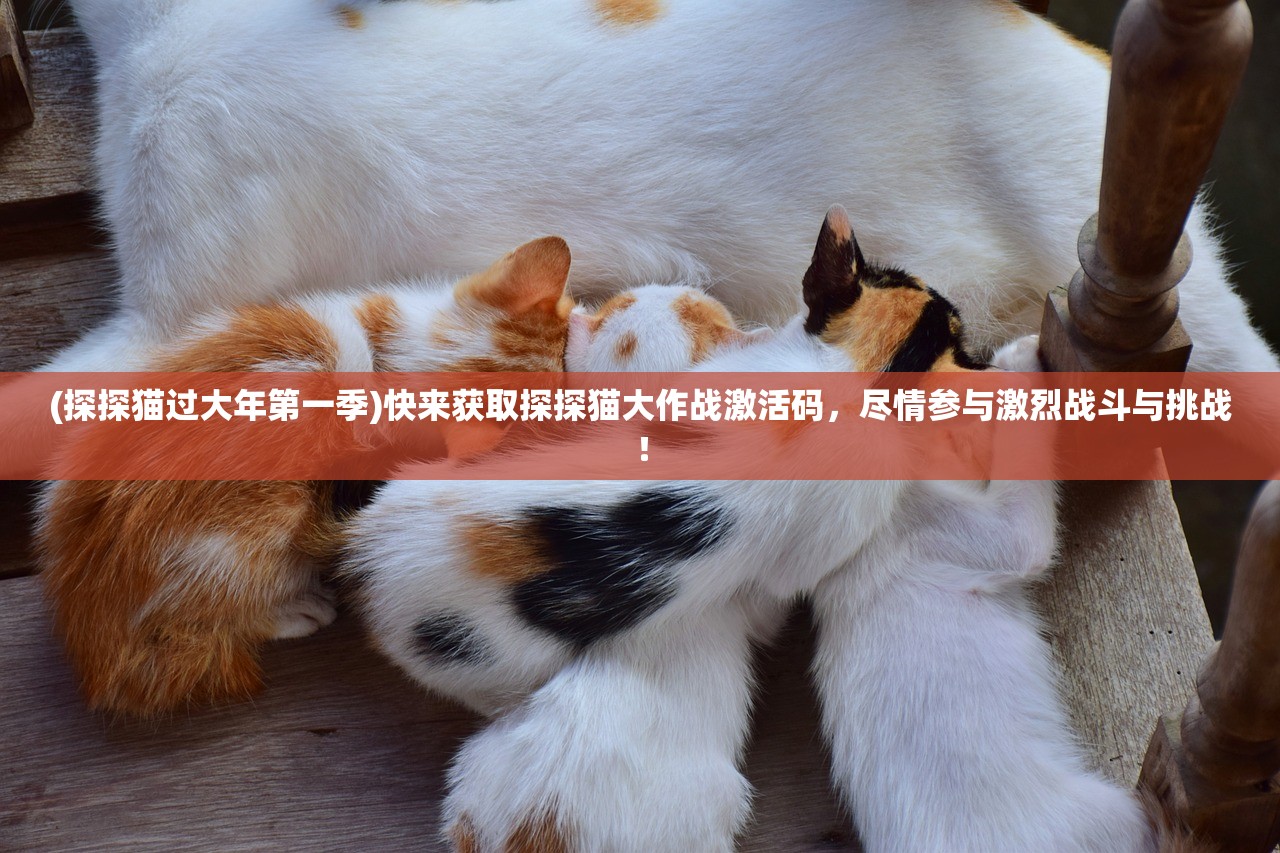 (探探猫过大年第一季)快来获取探探猫大作战激活码，尽情参与激烈战斗与挑战！