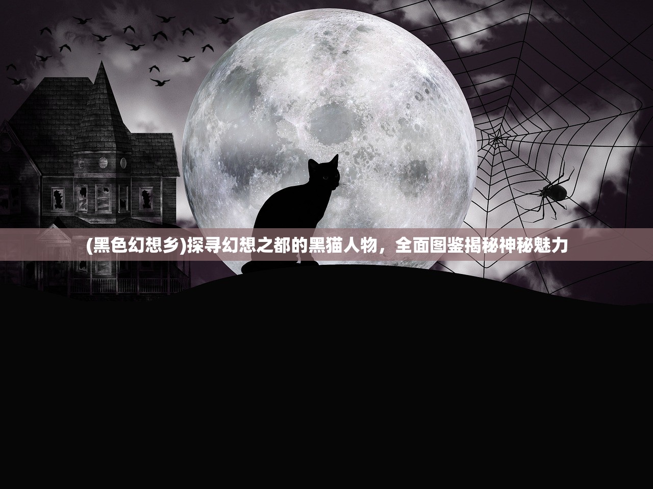 (黑色幻想乡)探寻幻想之都的黑猫人物，全面图鉴揭秘神秘魅力