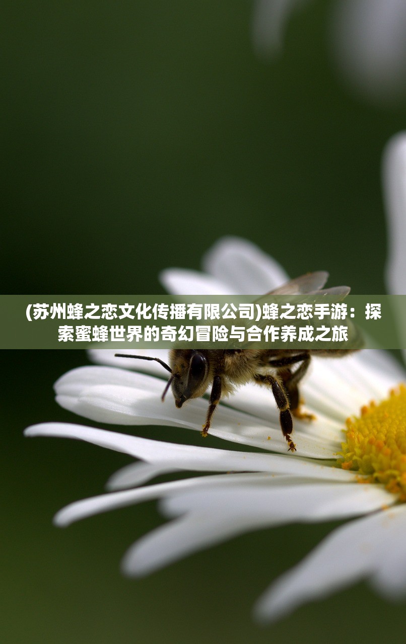 (苏州蜂之恋文化传播有限公司)蜂之恋手游：探索蜜蜂世界的奇幻冒险与合作养成之旅