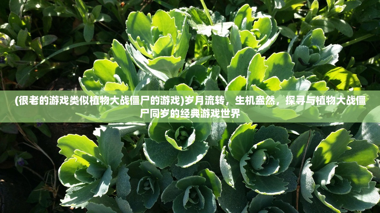 (天才枪手的真实故事是什么知乎)天才枪手的真实故事，揭秘天才少女的奋斗与牺牲