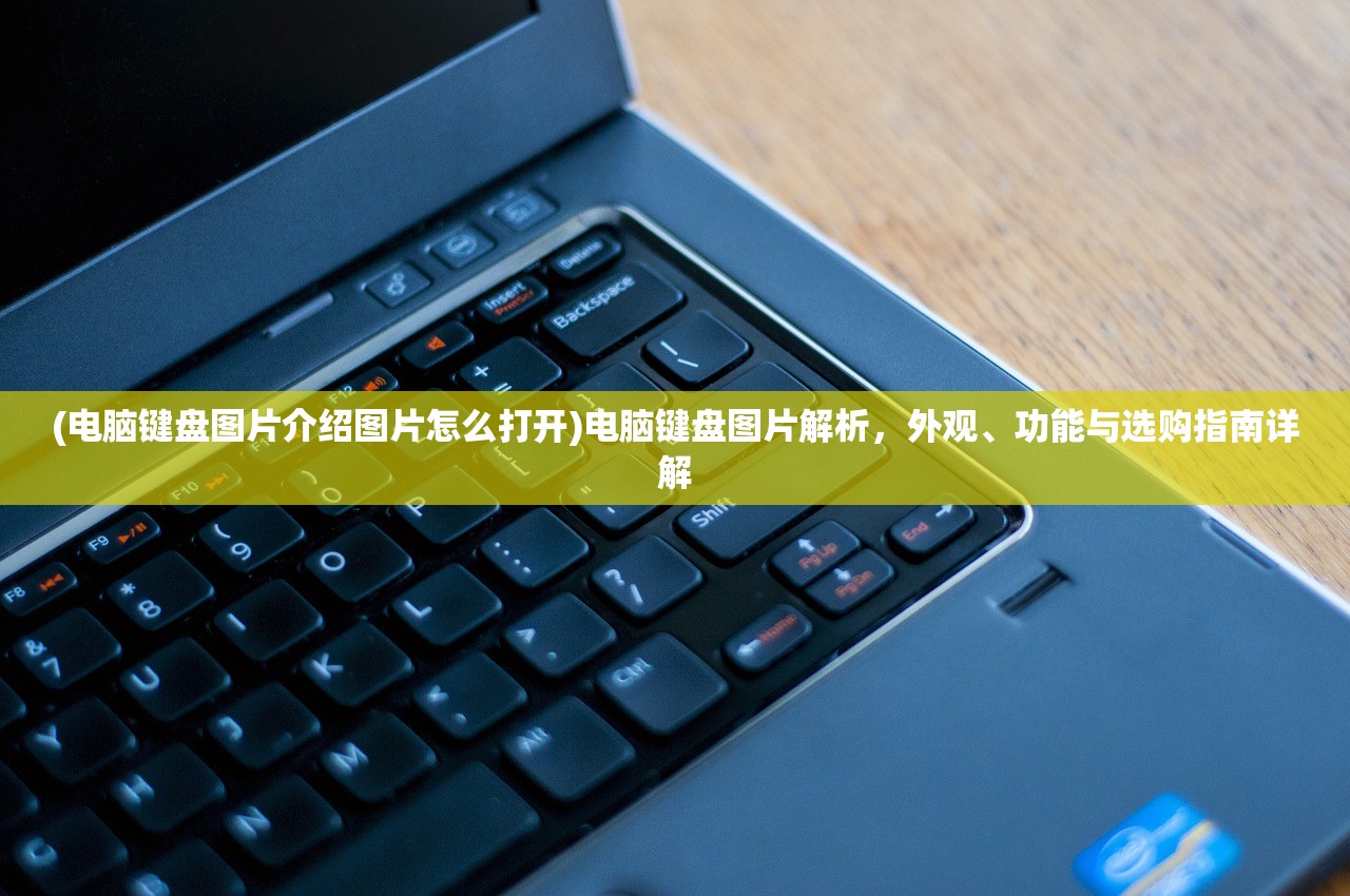 (射手大陆最新修改版本)射手大陆最新修改版深度解析，游戏革新与玩家期待解析
