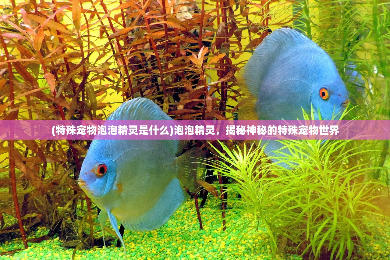 (时间之钥攻略秘境怎么进)解锁时间奥秘，深度解析时间之钥攻略全解析及FAQ解答
