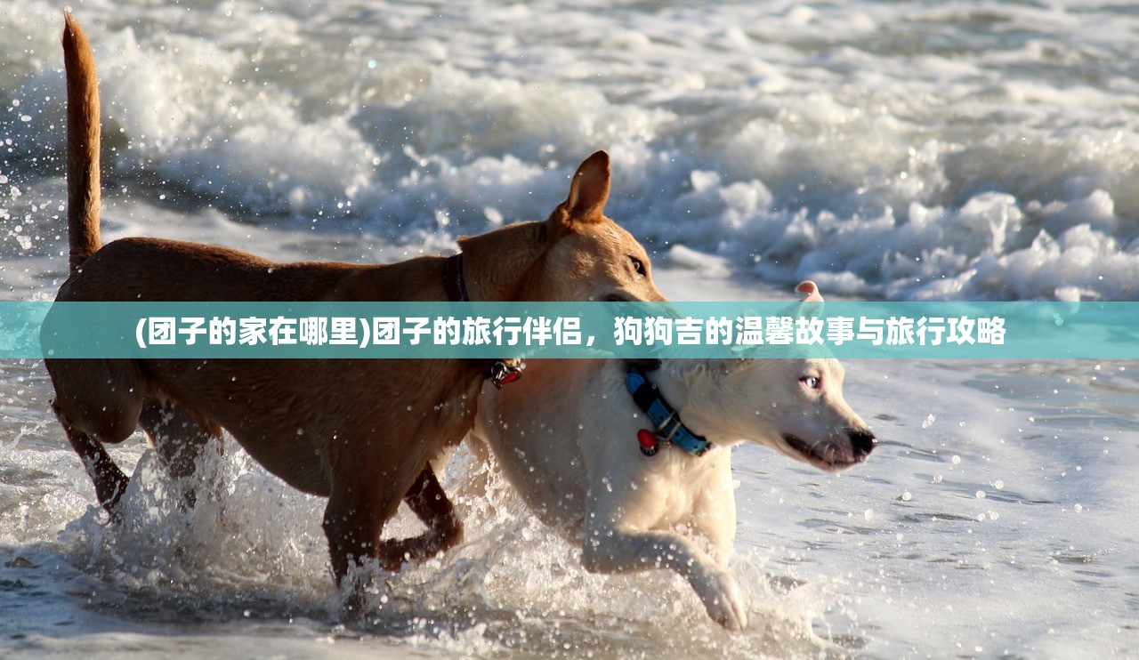 (进击的音速喵下载中文版)进击的音速喵官方中文版深度解析，游戏体验升级，玩家热议不断！