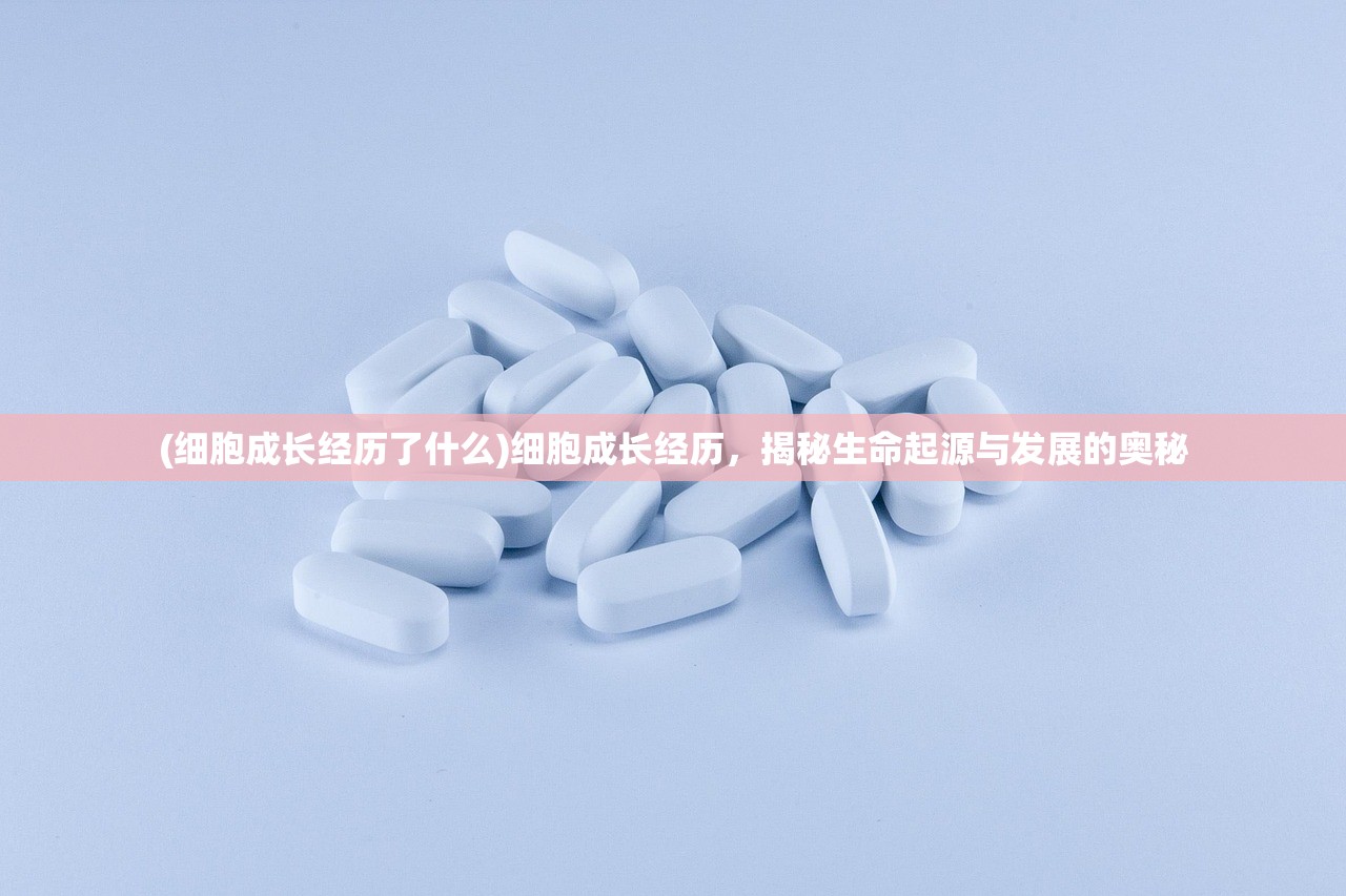 (忧郁的爱丽丝游戏中文版)忧郁的爱丽丝游戏，探索虚拟世界中的情感迷宫与心理旅程