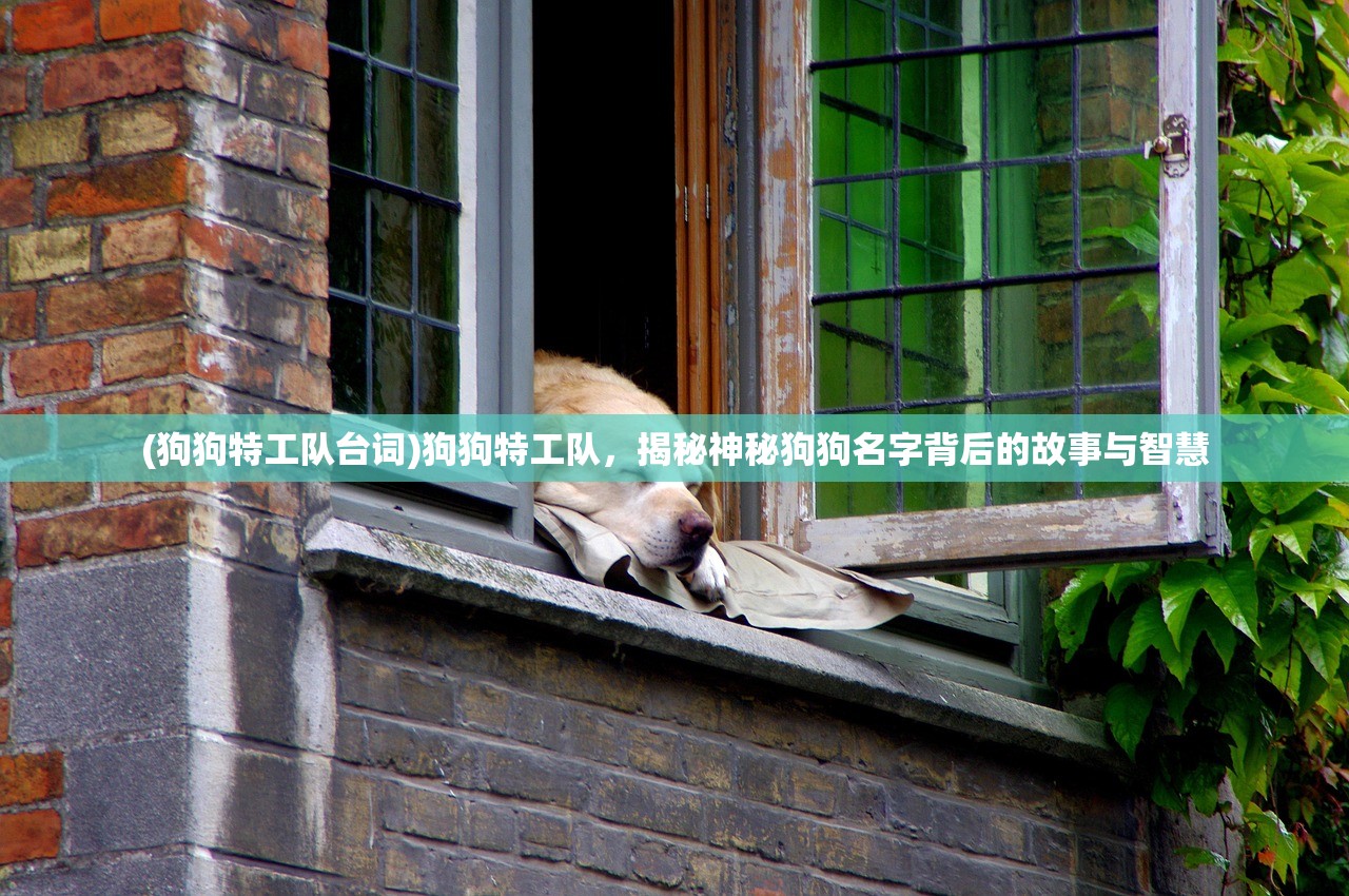 (阴阳锅2同心劫攻略全部图解第三)阴阳锅2同心劫攻略全解析，图解攻略助你轻松通关！