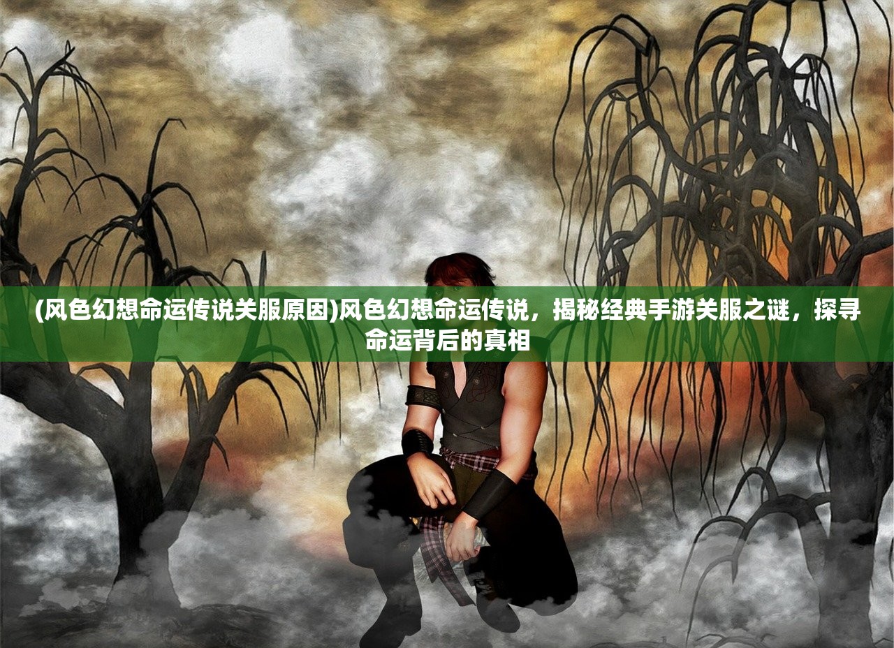 (类似灰烬使者的武器)探索灰烬大陆，揭秘类似地下城手游的独特魅力与玩家心声
