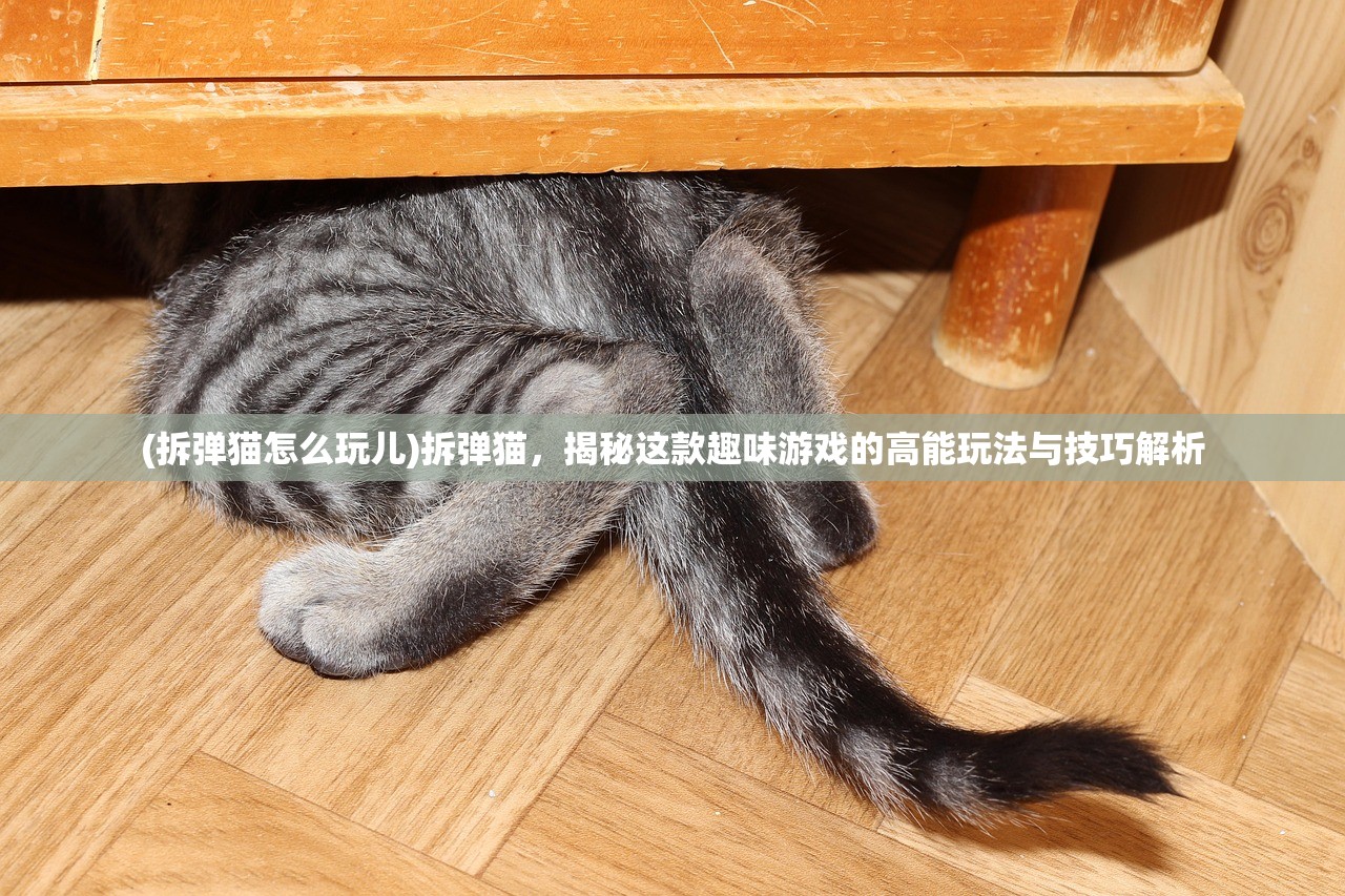 (决胜巅峰国际服官网入口)决胜巅峰国际服下载攻略，解锁全球竞技巅峰之旅