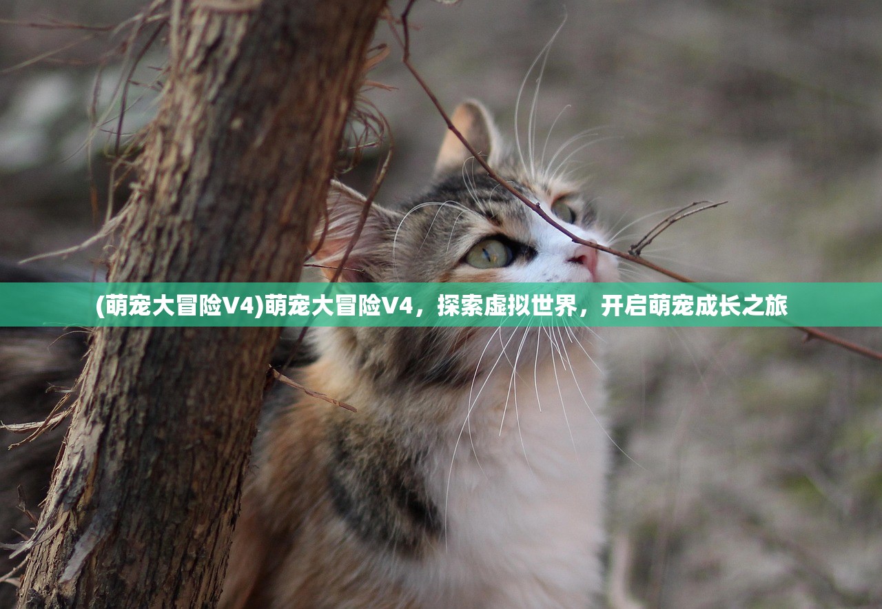 (萌宅物语的人什么时候回来)萌宅物语，孩子的成长轨迹，宅文化的未来展望——探讨宅龄成长与自我认知的交织