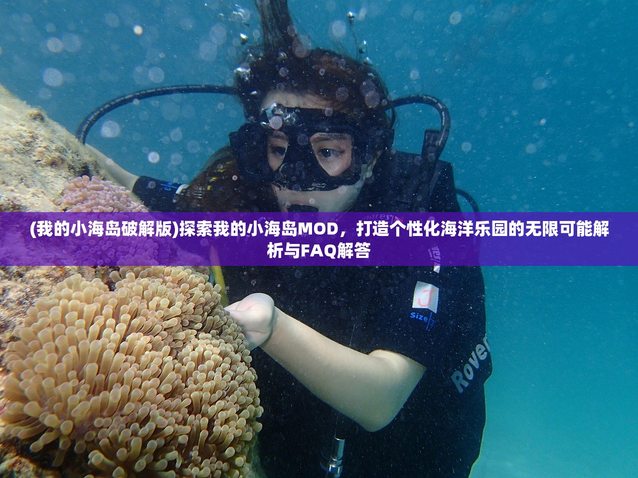 (方舟生存进化手游官方正版金手指)方舟生存进化手游官方正版深度解析，探索游戏魅力与生存智慧