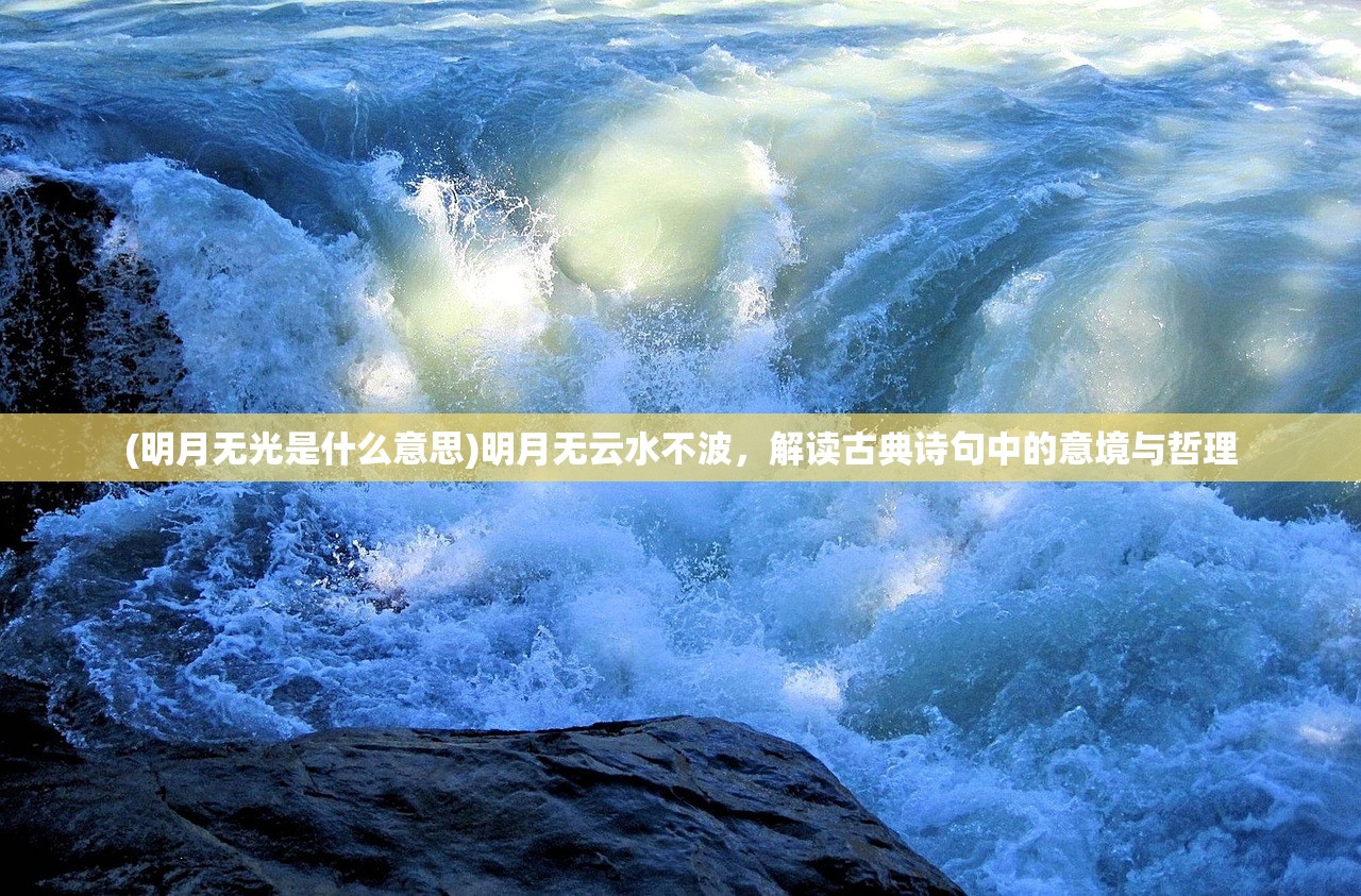 (校花女友小诗系列小说推荐)校园之纵意花丛，揭开女主角的多面魅力之谜