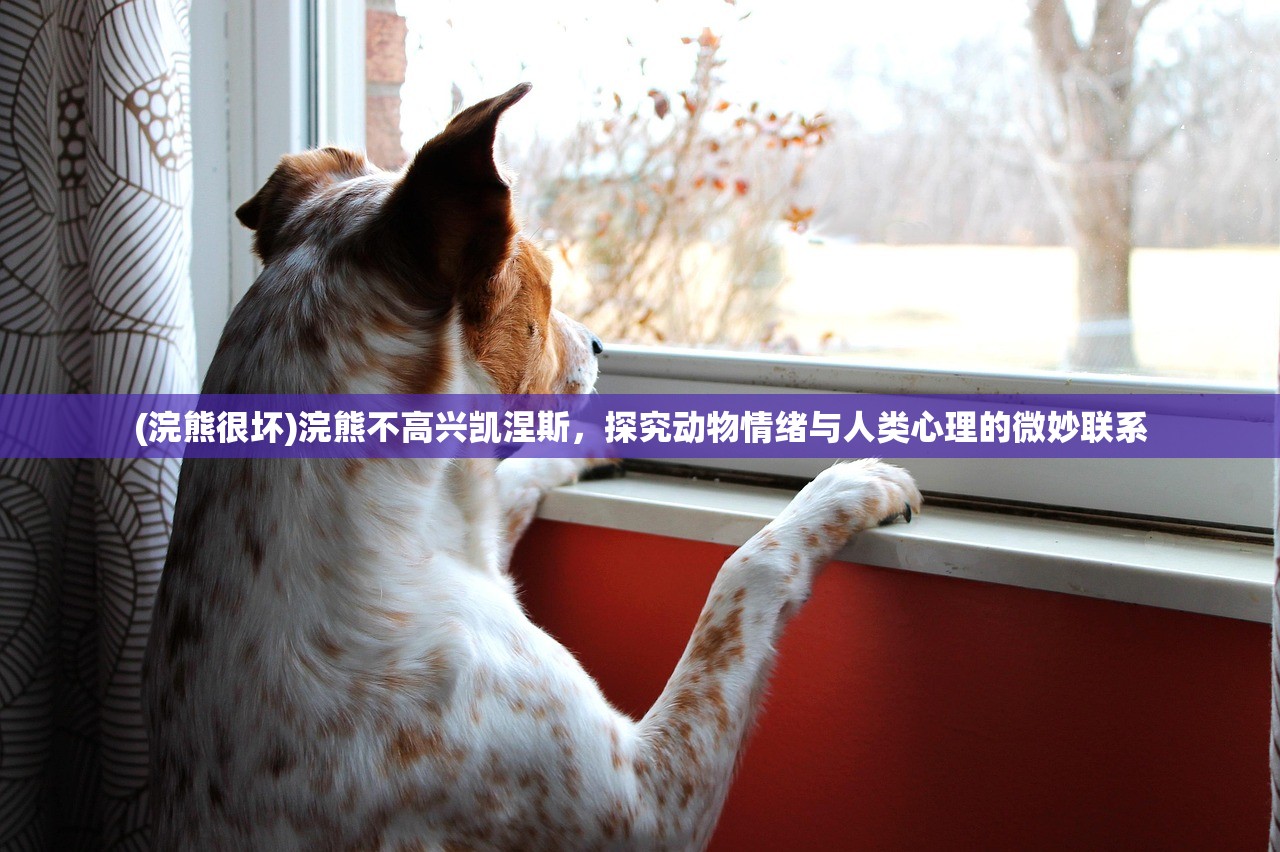 (魔导战士防御者武器选择)魔导战士防御者，新时代的守护者与战斗哲学解析