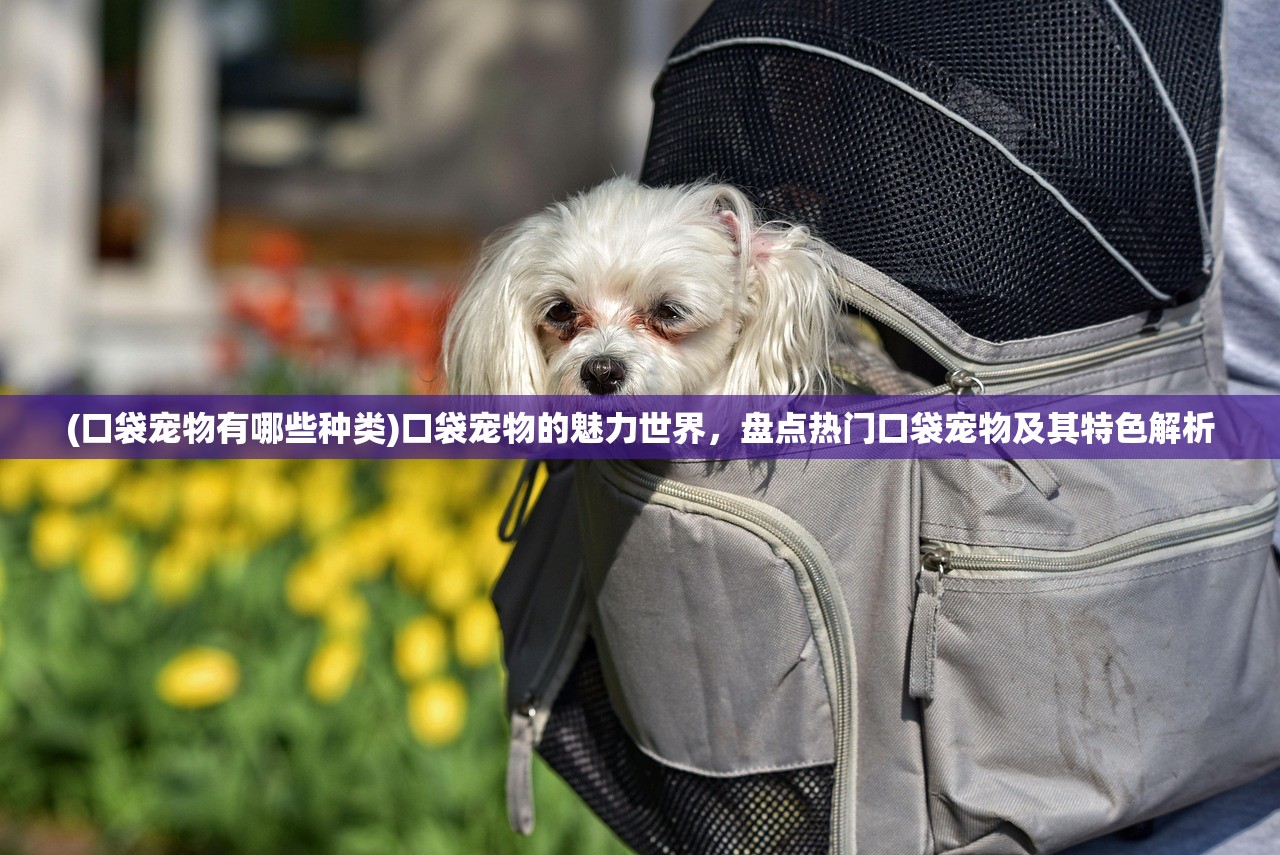 (三国萌将传最强阵容攻略)三国萌将传最强阵容深度解析，揭秘战场霸主养成之道