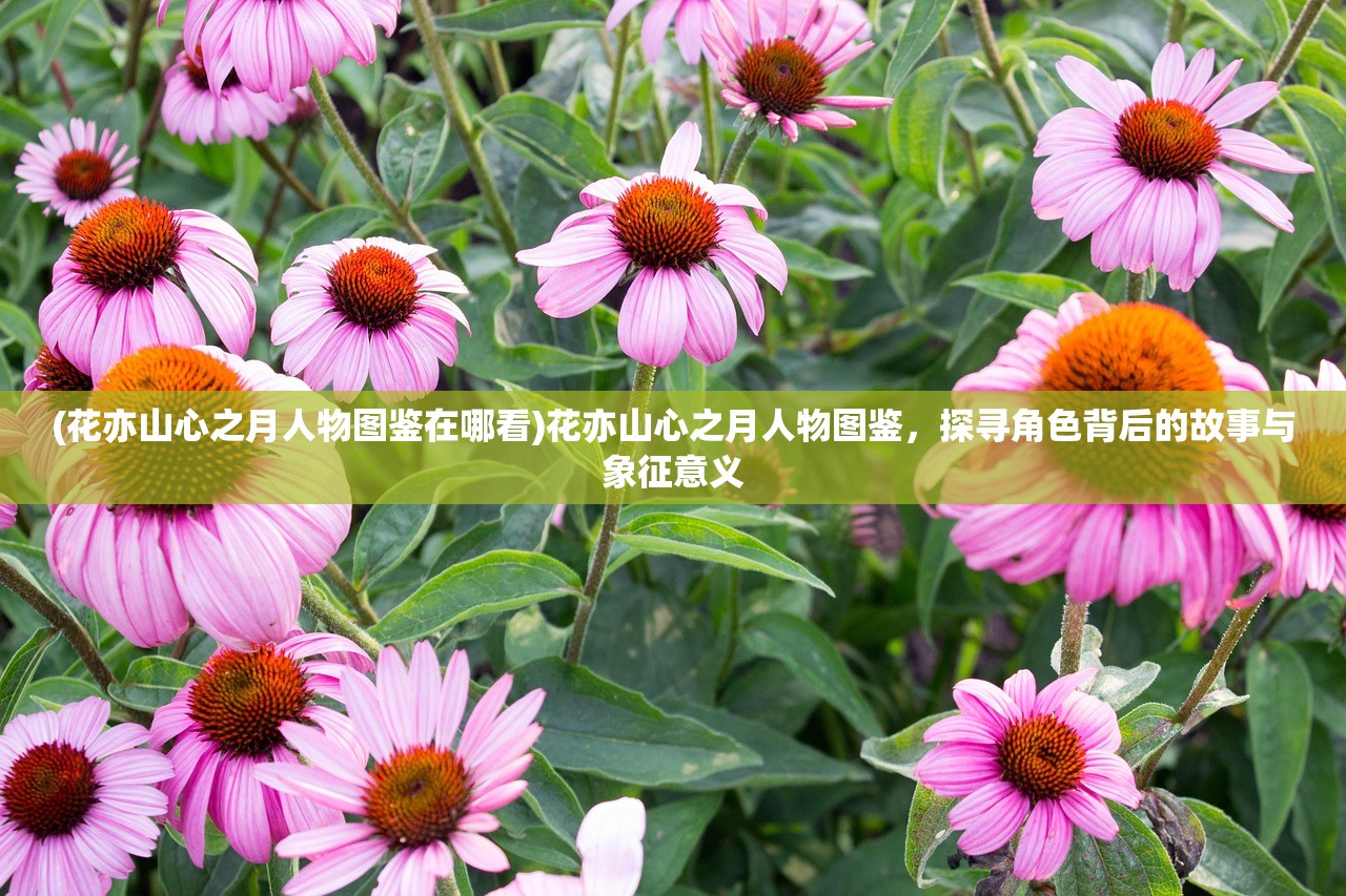 (马踏天下 TXT下载)马踏天下，探索古代战马文化及其在历史发展中的地位与影响