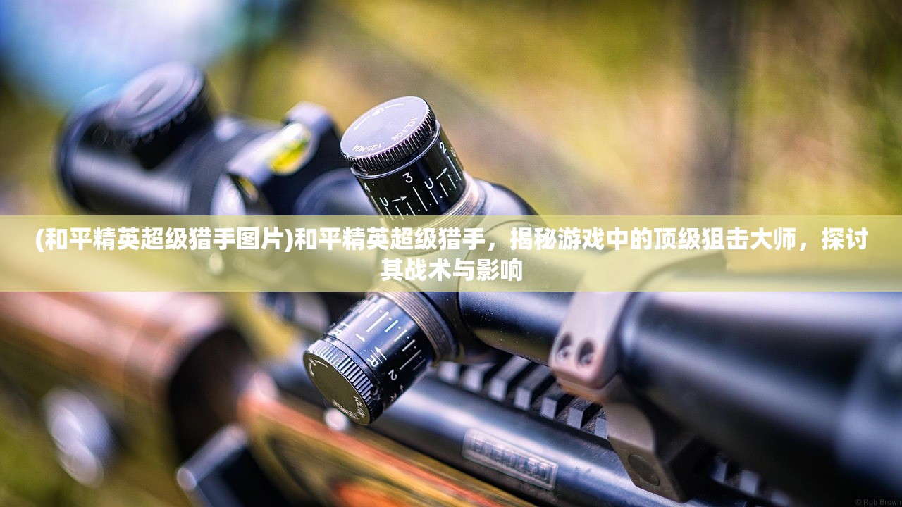 (刺刺下载)刺刺救援队免广告，公益救援的力量与挑战