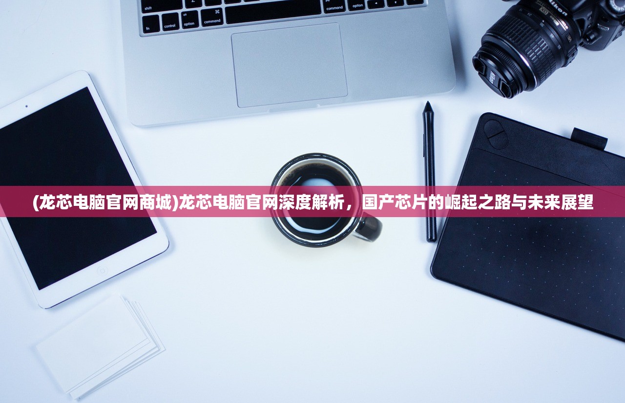 (王富贵的垃圾场bug)揭秘王富贵垃圾站，为何车辆难以进入之谜及全面解析