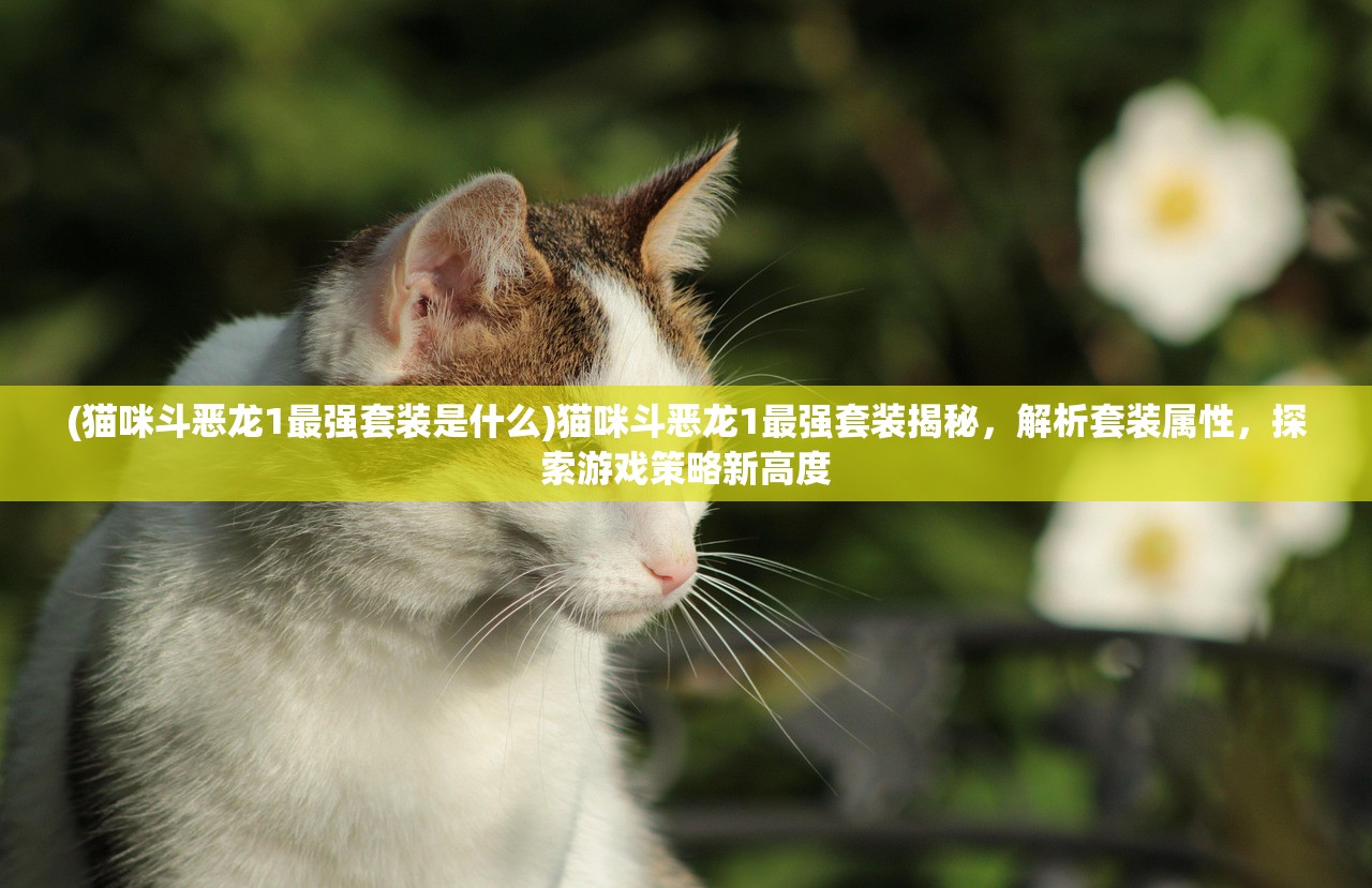 (猫咪斗恶龙1最强套装是什么)猫咪斗恶龙1最强套装揭秘，解析套装属性，探索游戏策略新高度