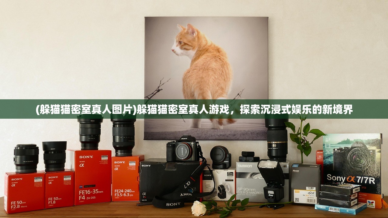 (无上剑道百科大全)无上剑道百科，剑道文化的传承与奥秘探索