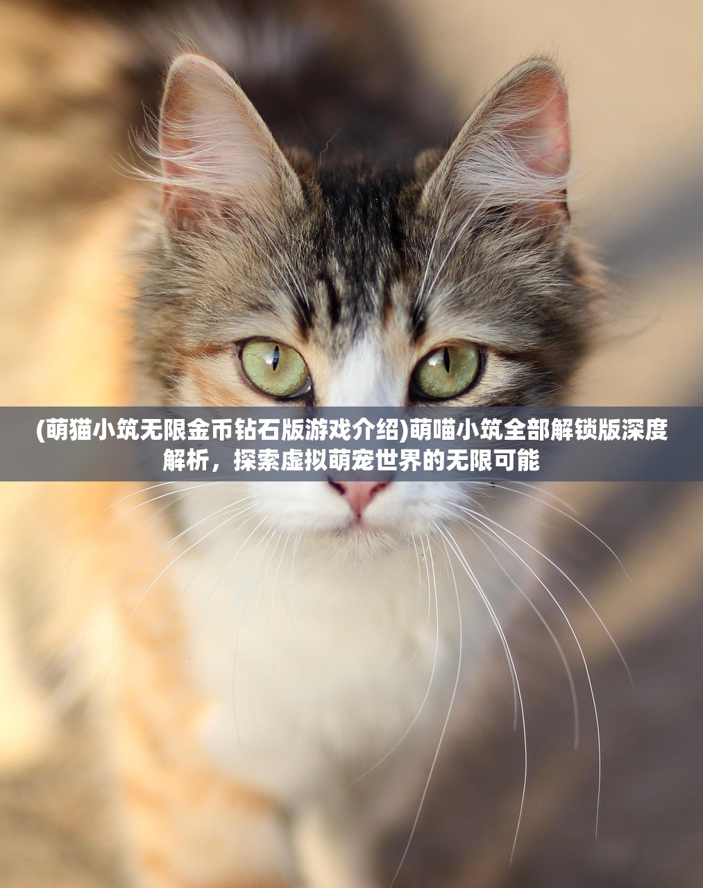 (萌猫小筑无限金币钻石版游戏介绍)萌喵小筑全部解锁版深度解析，探索虚拟萌宠世界的无限可能