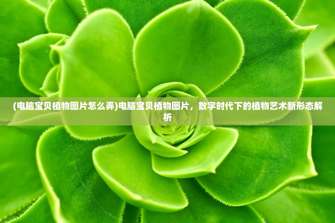 (电脑宝贝植物图片怎么弄)电脑宝贝植物图片，数字时代下的植物艺术新形态解析