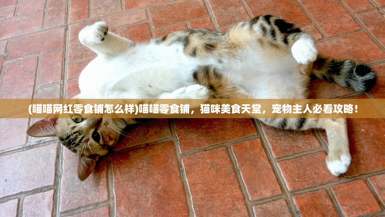 (喵喵网红零食铺怎么样)喵喵零食铺，猫咪美食天堂，宠物主人必看攻略！