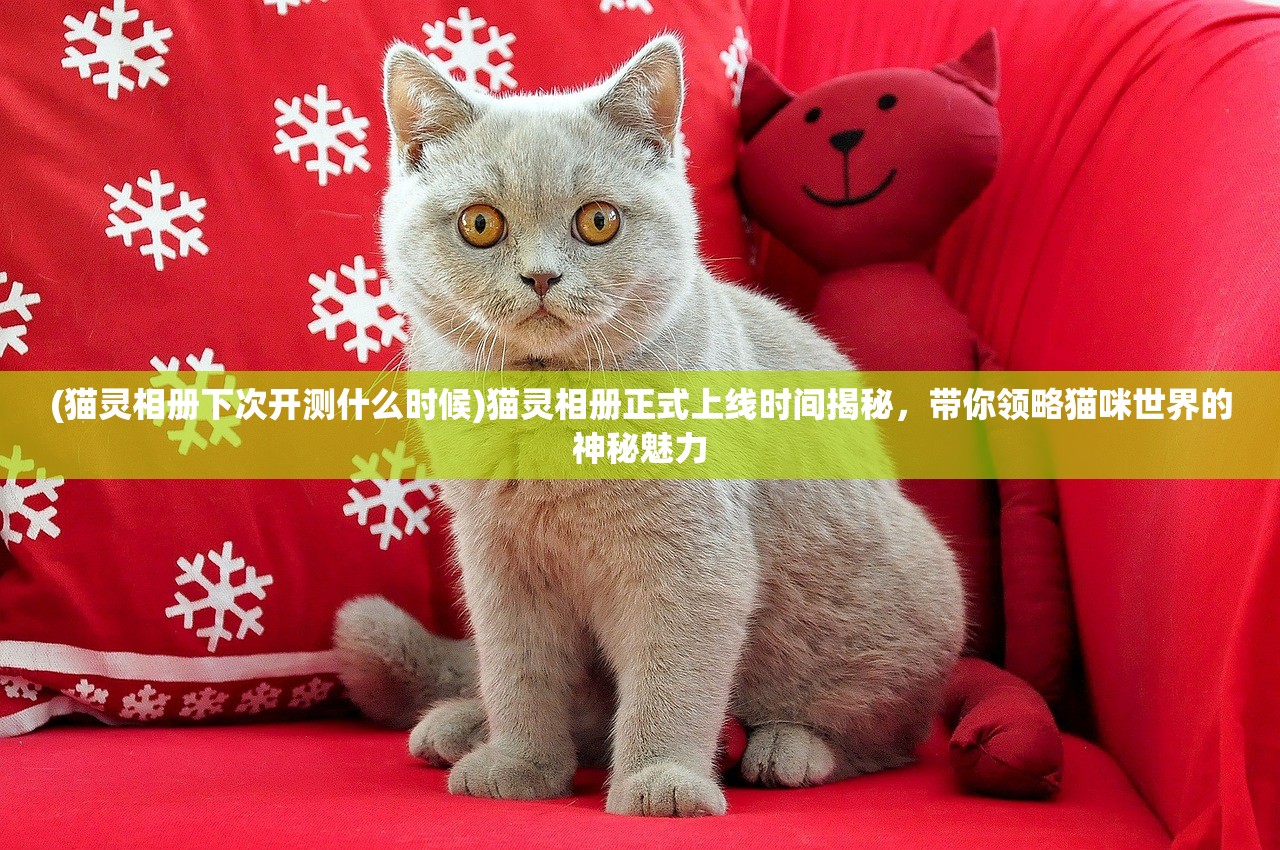 (猫灵相册下次开测什么时候)猫灵相册正式上线时间揭秘，带你领略猫咪世界的神秘魅力